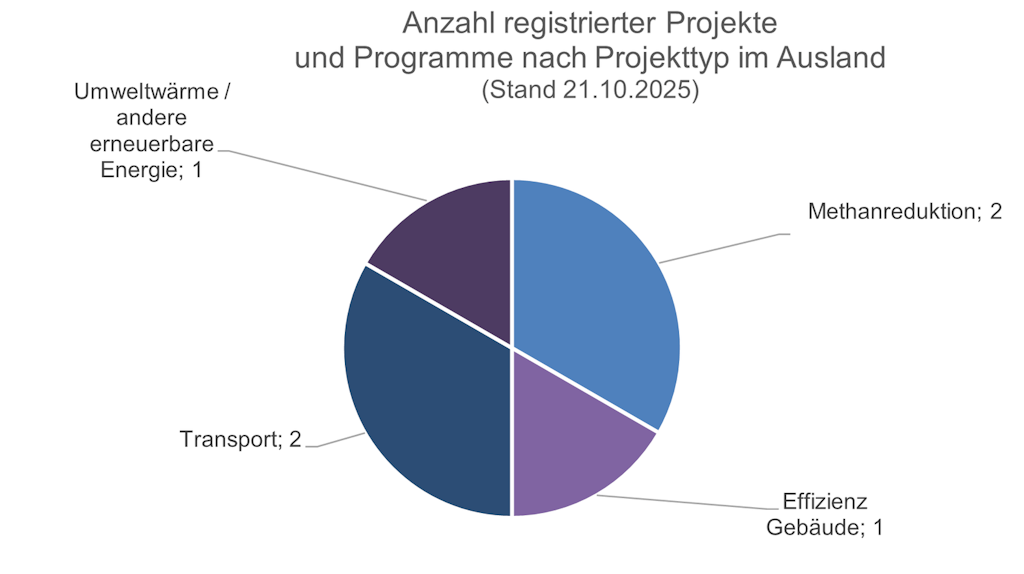Anzahl registrierter Projekte und Programme nach Projekttyp im Ausland (Stand 21.10.2025)